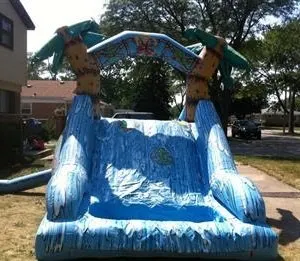 10ft Waterslide With Pool Tropical Themed Rental