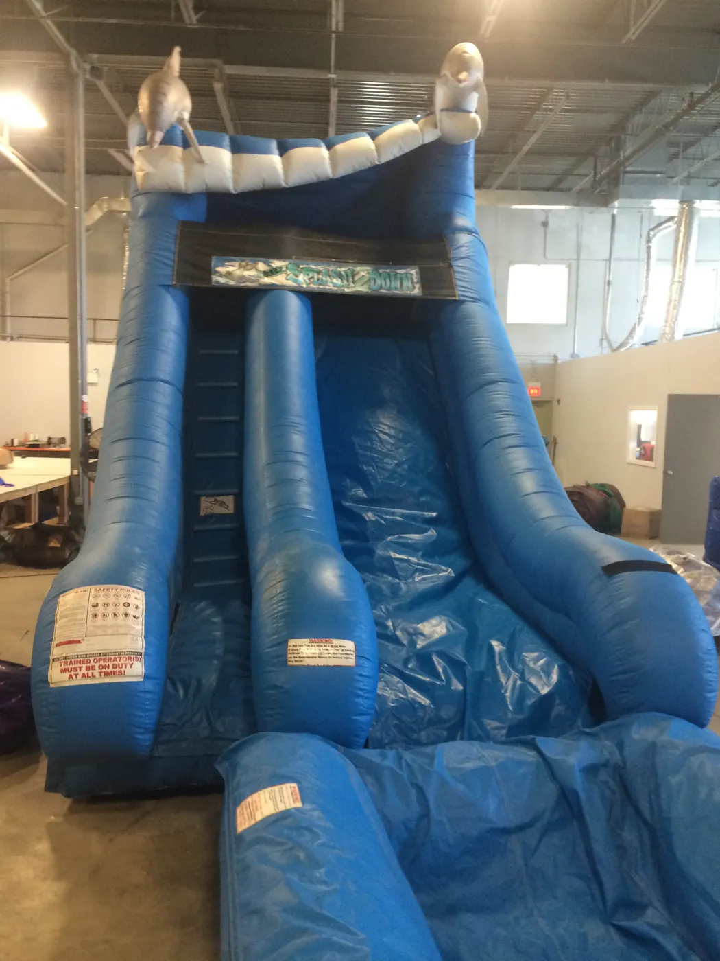19ft Waterslide With Pool Dolphin Themed Rental